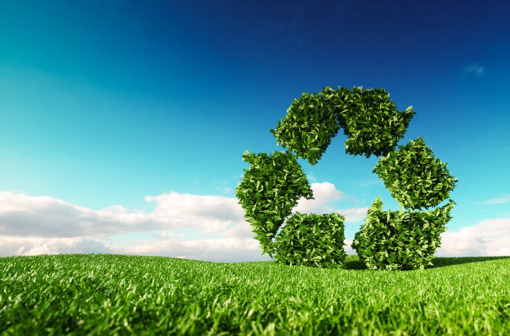 Waste Management